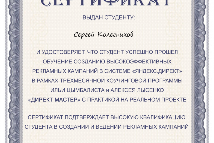 Настрою рекламную кампанию в Яндекс Директ. Поиск, РСЯ 3 000 руб.  за 3 дня.. Сергей Колесников