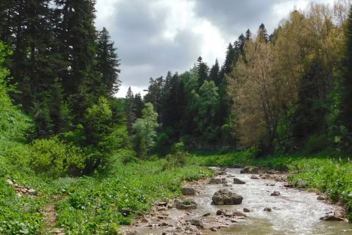 Редактирование фото (Цветокор, улучшение качества и т.д.) - 1667434