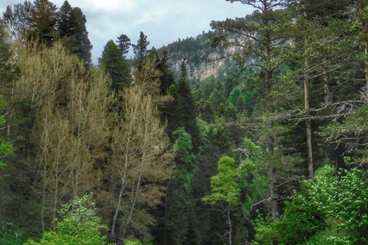 Редактирование фото (Цветокор, улучшение качества и т.д.) - 1667436