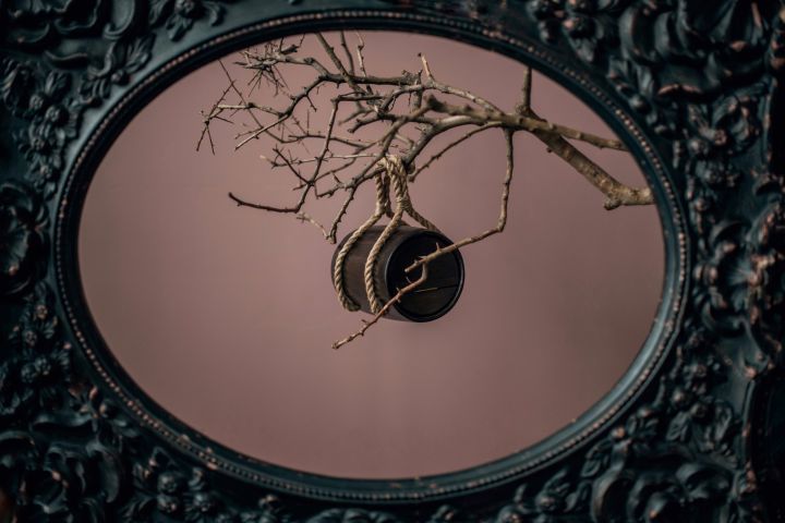 Организация фото-видео съемок для брендов, физических лиц под ключ. - 1668145