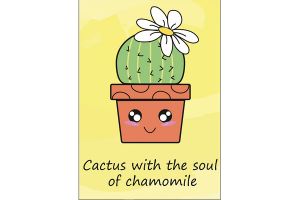 cactus3 превью1