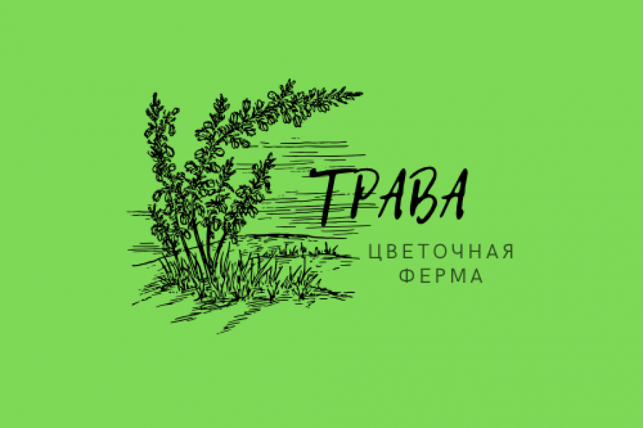 Создание логотипов 2 000 руб.  за 2 дня.. Елизавета Свириденко