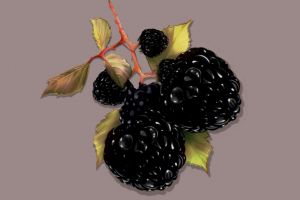 48D161B3-732B-4C55-B732-7B38F7AABA38