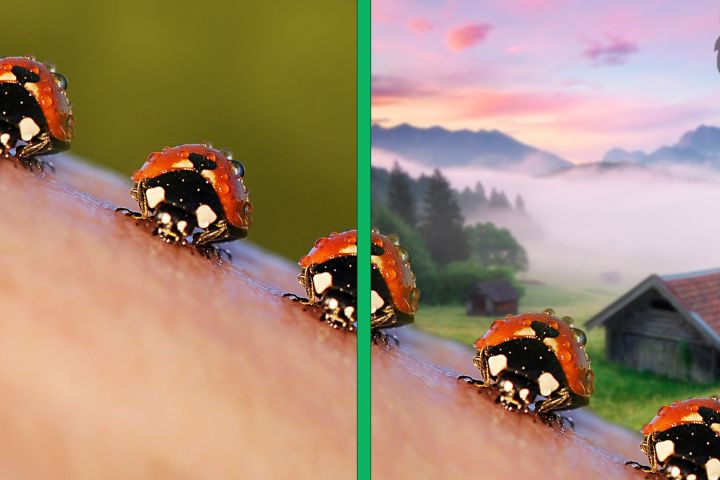 Фотошоп: удаление объектов, замена/удаление фона. - 1686869