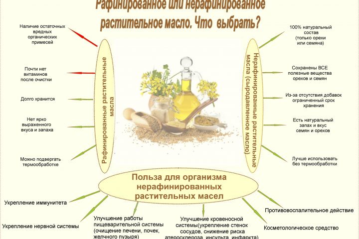 создание инфографики - 1688101