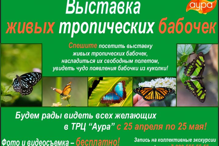 создание полиграфических материалов (визитки, баннеры, флаеры, листовки, брошюры - 1688109