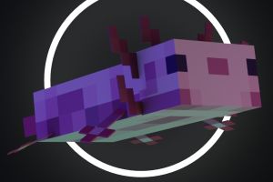 axol_jpg