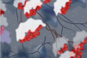 Зимняя рябина-01