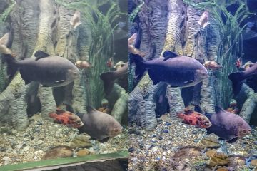 Цветокоррекция