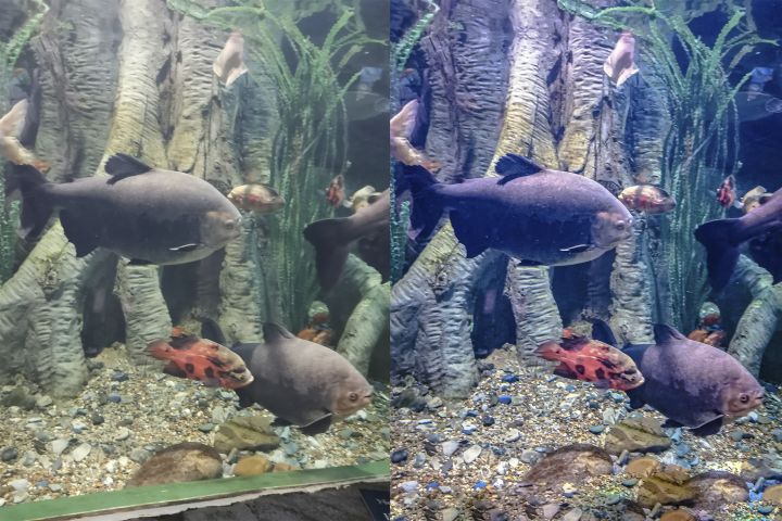 Цветокоррекция - 1690878