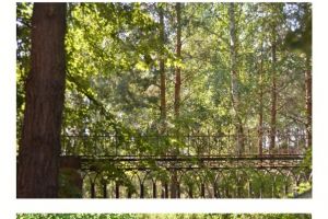 photo_2022-08-19_22-49-53