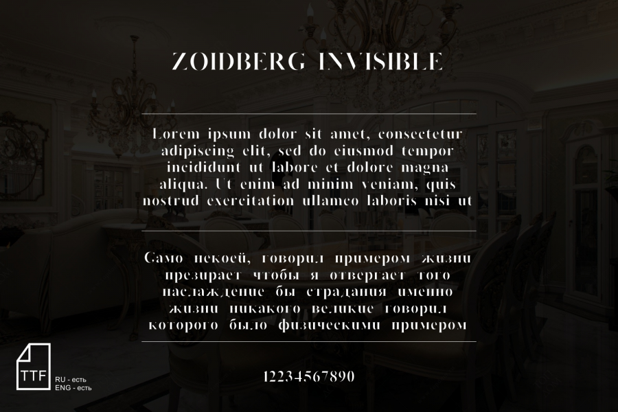 Продаю: Шрифт ZOIDBERG INVISIBLE  -   товар id:7407