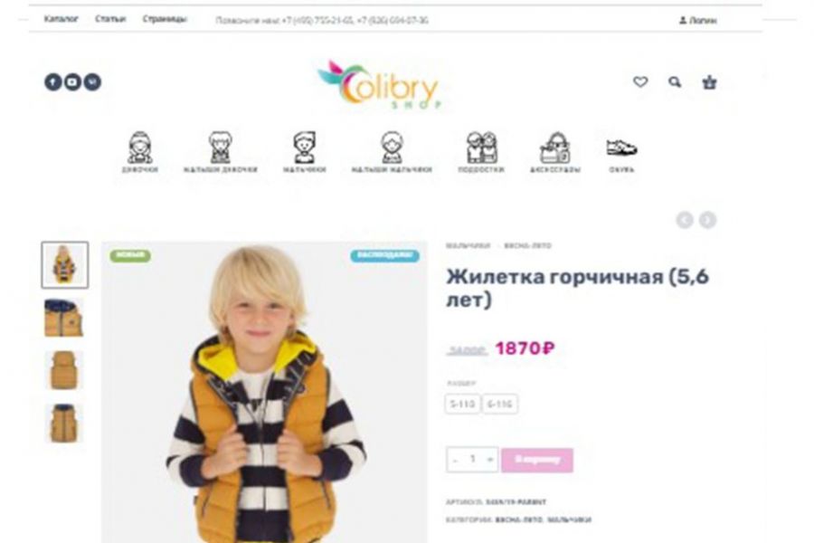 Заказать интернет магазин под ключ 40 000 руб. за 30 дней.. Екатерина Великая