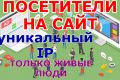 Живой трафик на сайт. Посетители на сайт