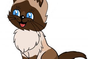 Киска сиамка