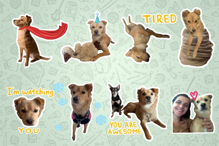 стикеры Telegram c вашими домашними животными - 1710913