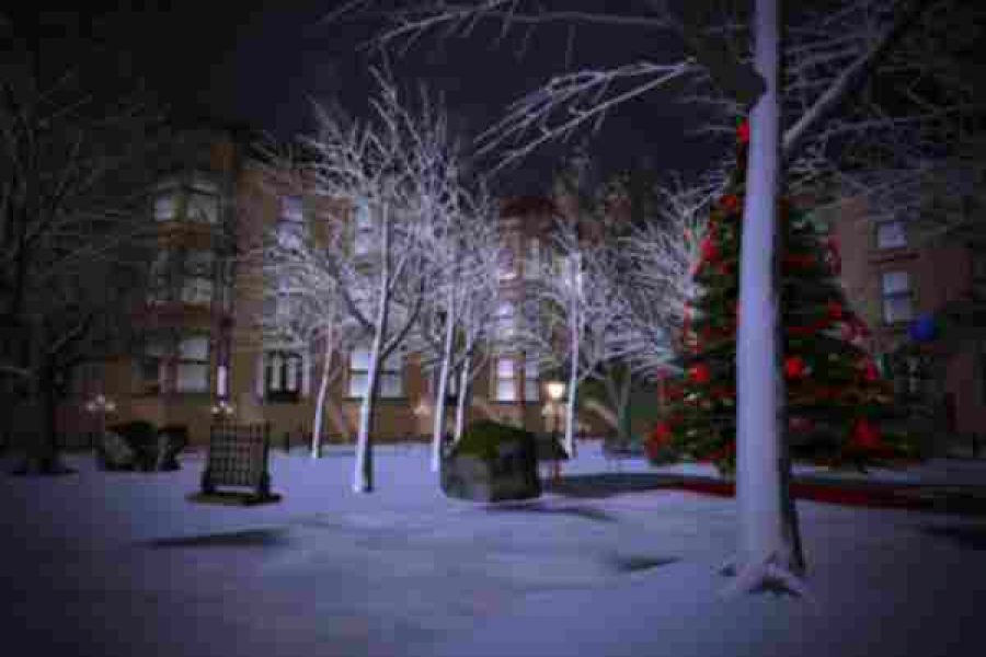Продаю: "Ночь в зимнем парке", виртуальное фото. -   товар id:7515