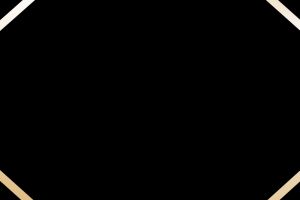 Frame 20