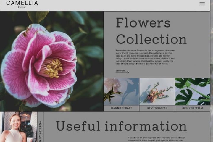 Сайт лендинг одностраничный - 1722212