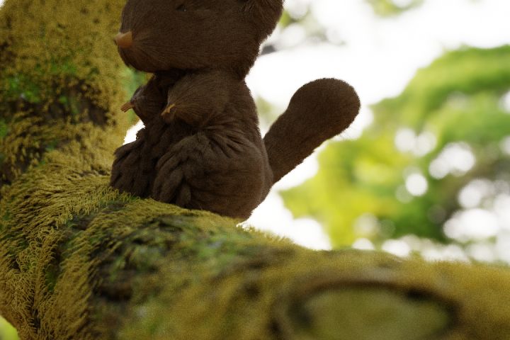 3D изображение по вашему описанию - 1722643