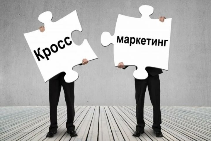 Маркетолог, создание партнёрской сети - 1730846