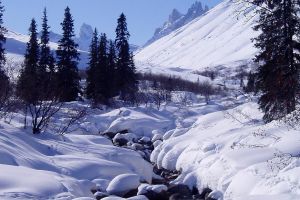 1623777847_3-oir_mobi-p-alyaska-zimoi-priroda-krasivo-foto-3