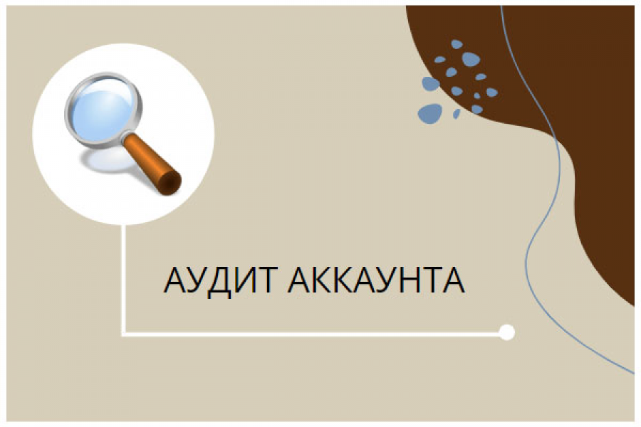 Аудит аккаунта 4 000 руб.  за 3 дня.. Анастасия Валерьянова