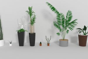 1indoor-plants-3d-model-obj-mtl-3ds-fbx-blend-dae