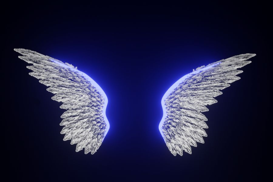 Продаю: Wings.Крылья -   товар id:8199