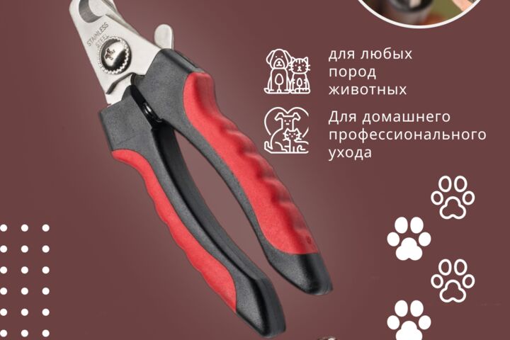 Создам инфографику