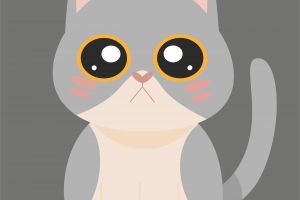 кот-серый