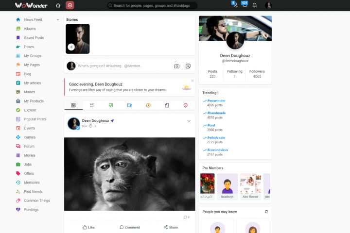 Мощный скрипт социальной сети, аналог Вконтакте, Facebook, ОК - 1763579