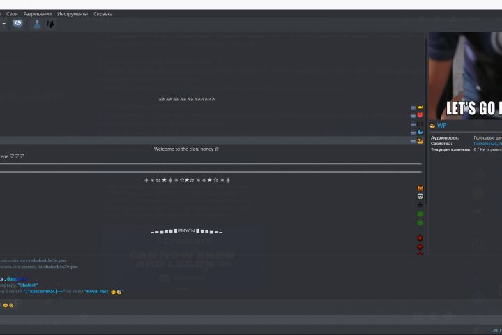 Оформление TeamSpeak и Discord серверов - 1766100