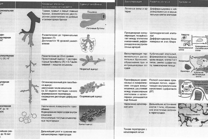 пишу на медицинские темы - 1771491