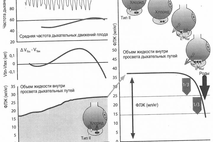 пишу на медицинские темы - 1771492