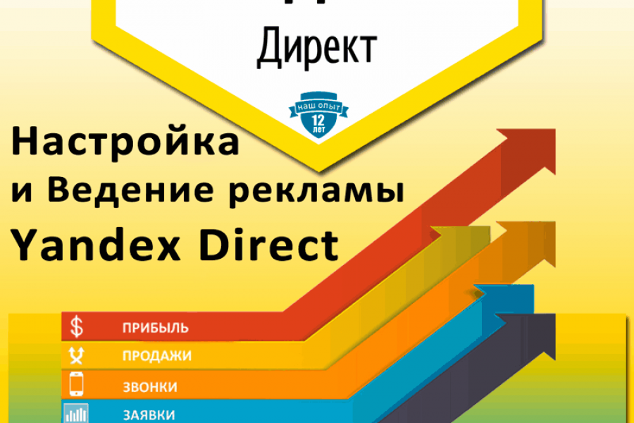 Контекстная реклама 10 000 руб. за 1 день.. Алексей Иваницкий