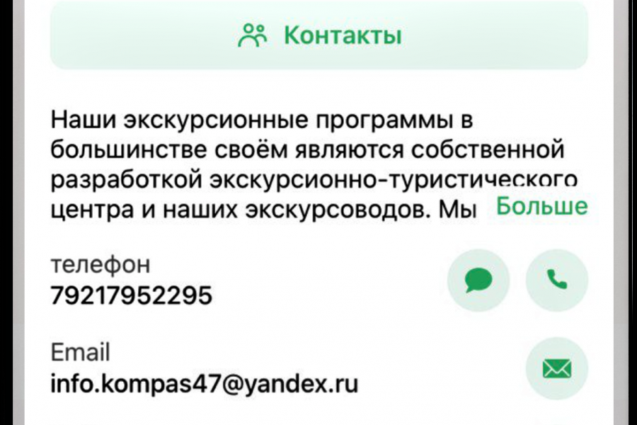 приложение для кафе, магазина, экскурсионного бюро 10 000 руб.  за 21 день.. Елена Морева