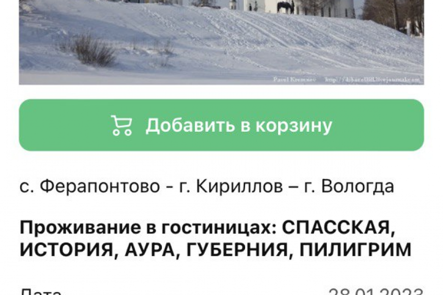 приложение для кафе, магазина, экскурсионного бюро 10 000 руб.  за 21 день.. Елена Морева