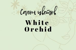 Логотип 500x500  пикс (4)_page-0001