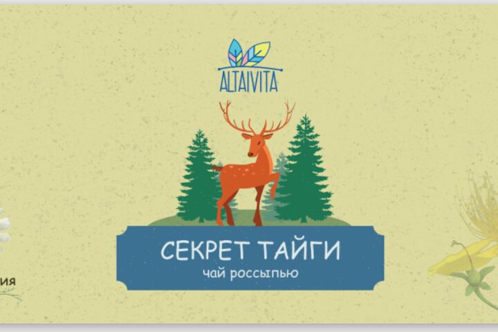 Создание полиграфической продукции