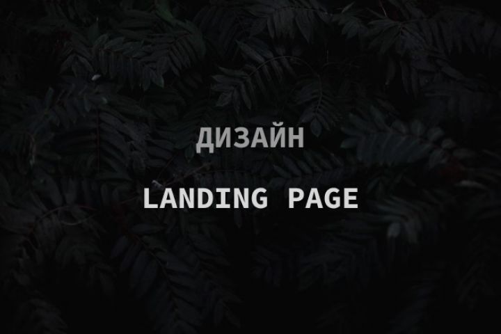 Дизайн Landing Page - 1807436