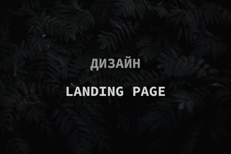 Дизайн Landing Page 3 000 руб.  за 5 дней.. Евгения Порохова