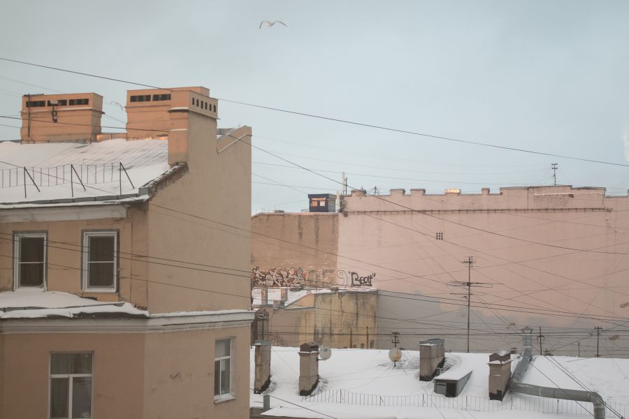 Продаю: Птица в небе, будка на крыше, серый день в Санкт-Петербурге -   товар id:8984