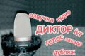 Дикторская начитка