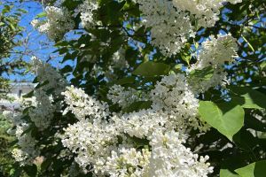 444066FE-3237-4896-97E9-50D618A845FE