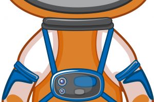 space costume for cat