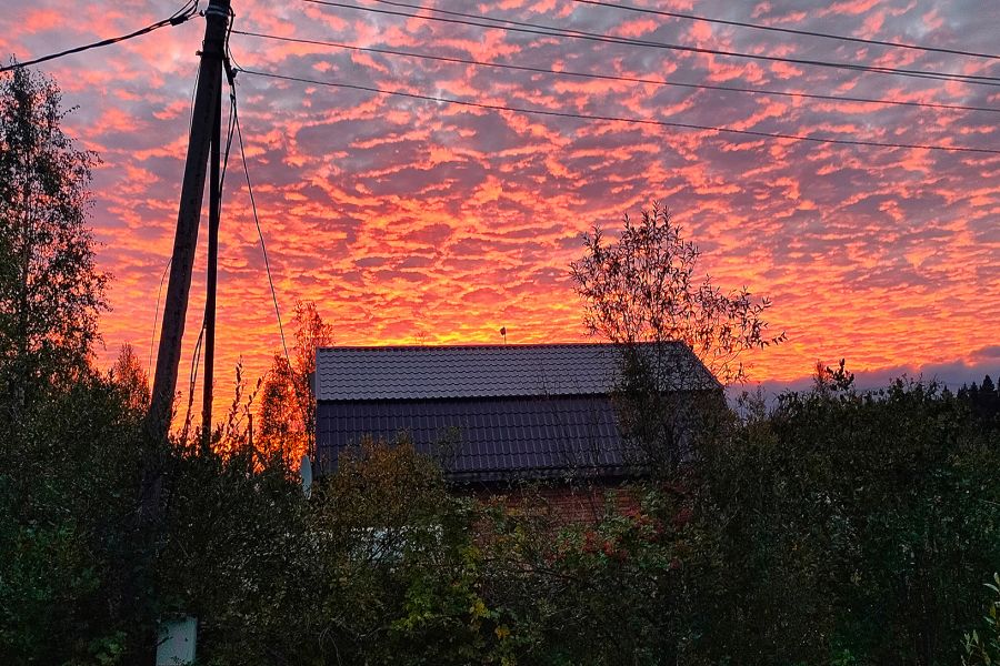 Продаю: Необычно красивое красно-желтое небо на закате в деревне -   товар id:9277
