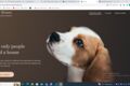 Создам проект на основе HTML, CSS , минимально JS