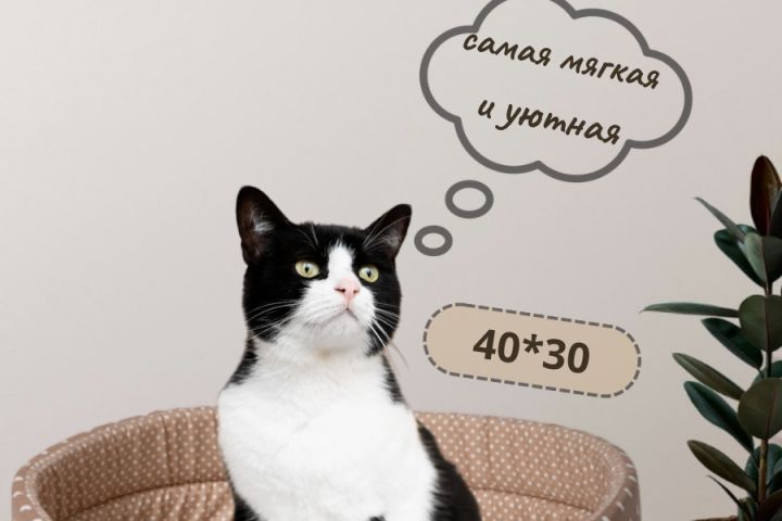 Дизайнер инфографики. Карточки товаров. - 1832641