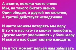 photo_2023-04-21_17-59-33